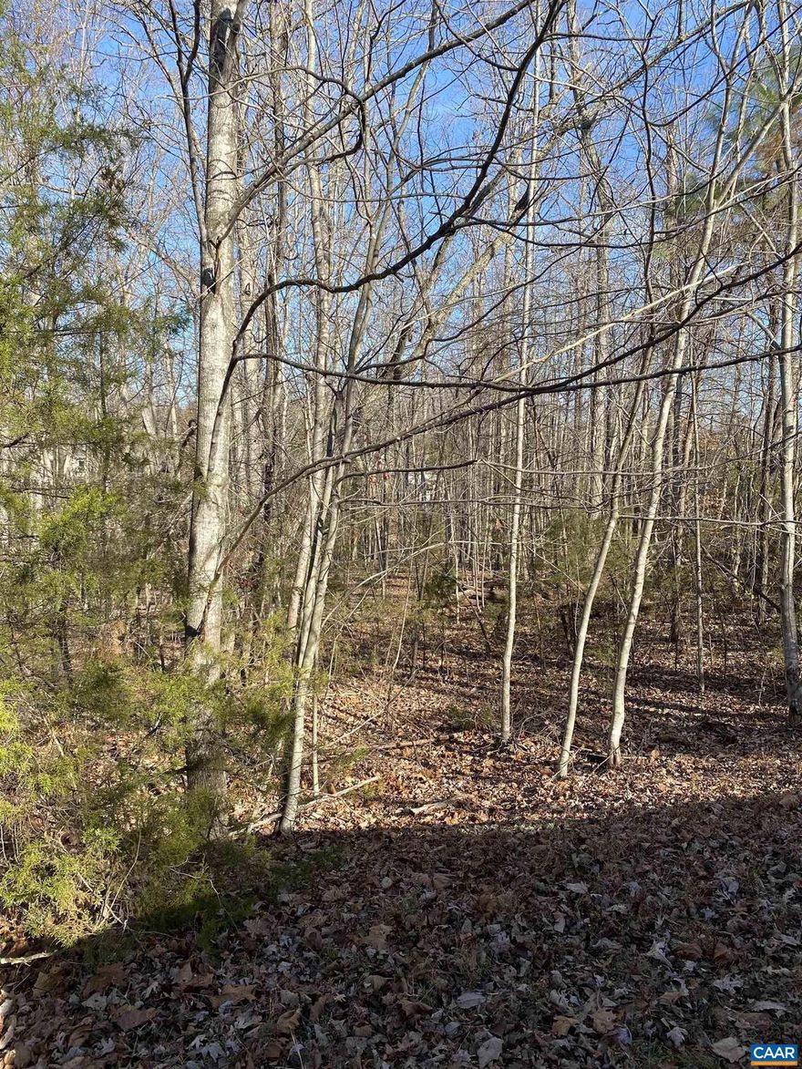 Nice wooded 1 Acre building lot