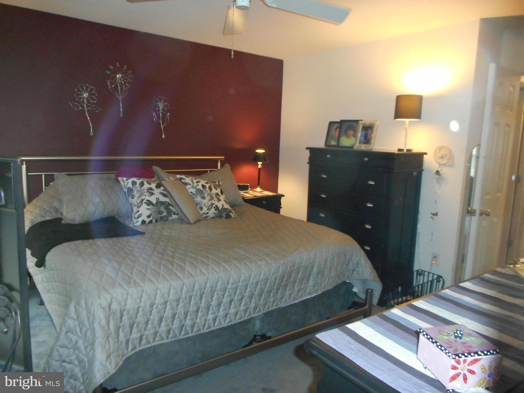 THE COOK - Residential