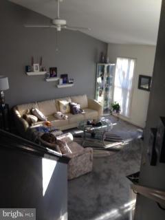 THE COOK - Residential