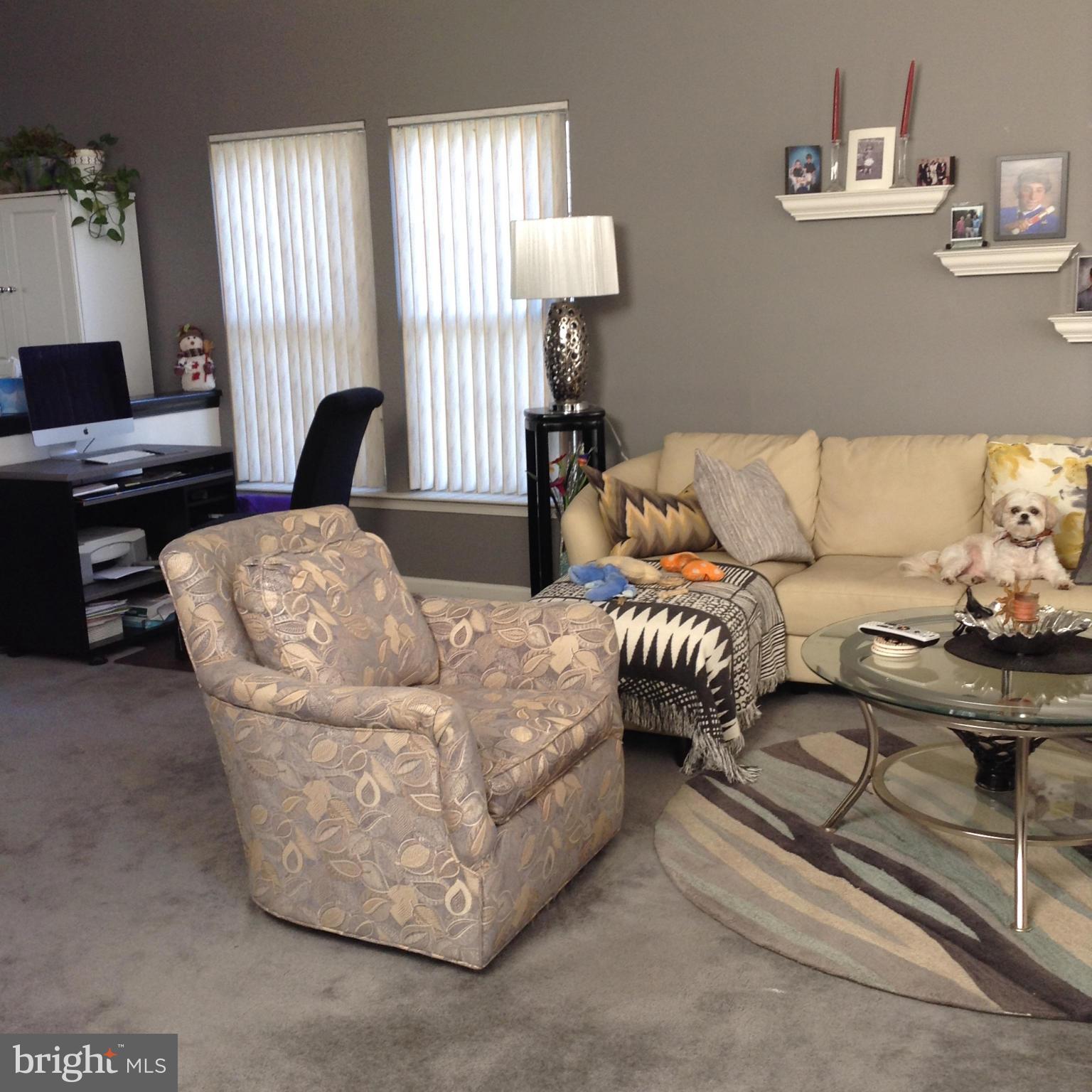 THE COOK - Residential