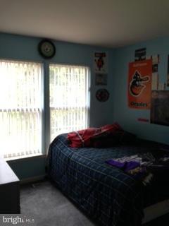 THE COOK - Residential