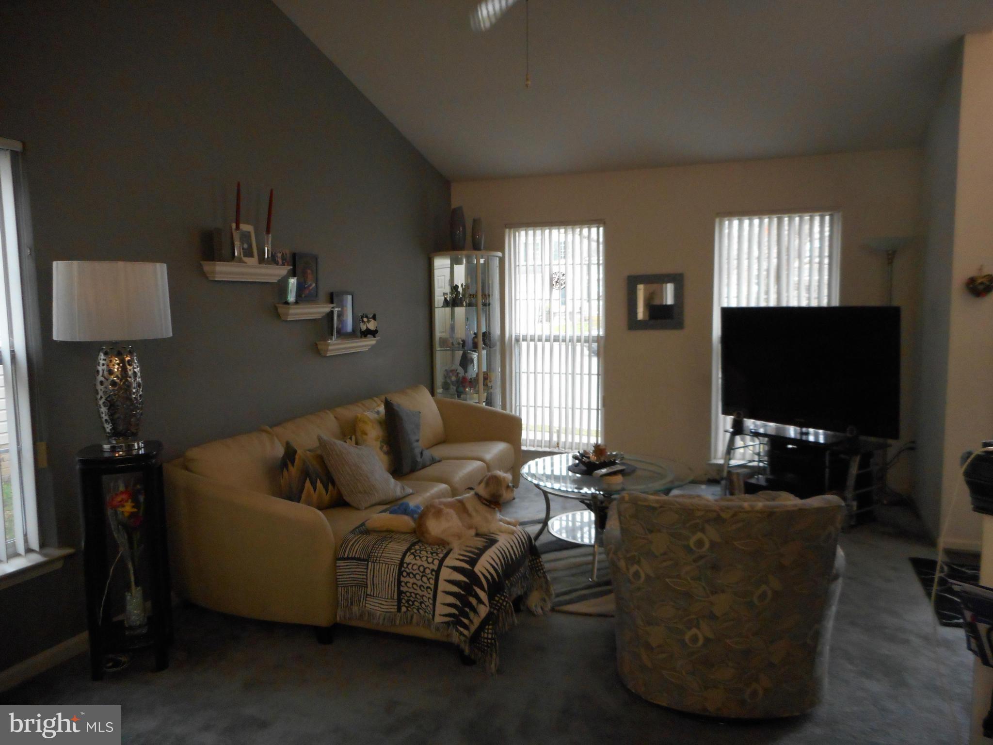 THE COOK - Residential