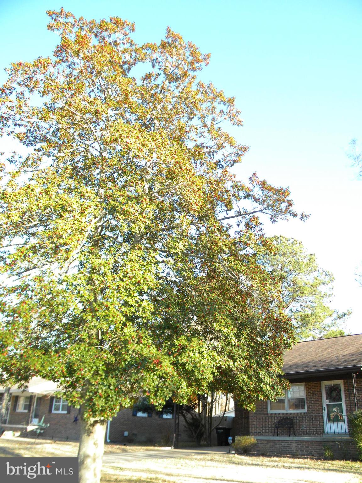 TOWN OF COLONIAL BEACH - Residential