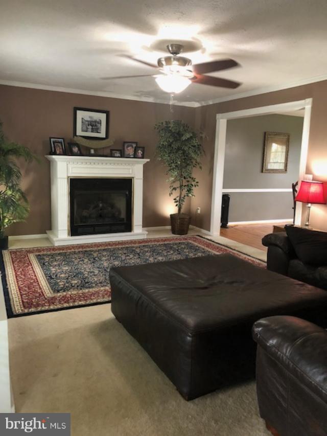 AVONDALE ACRES - Residential