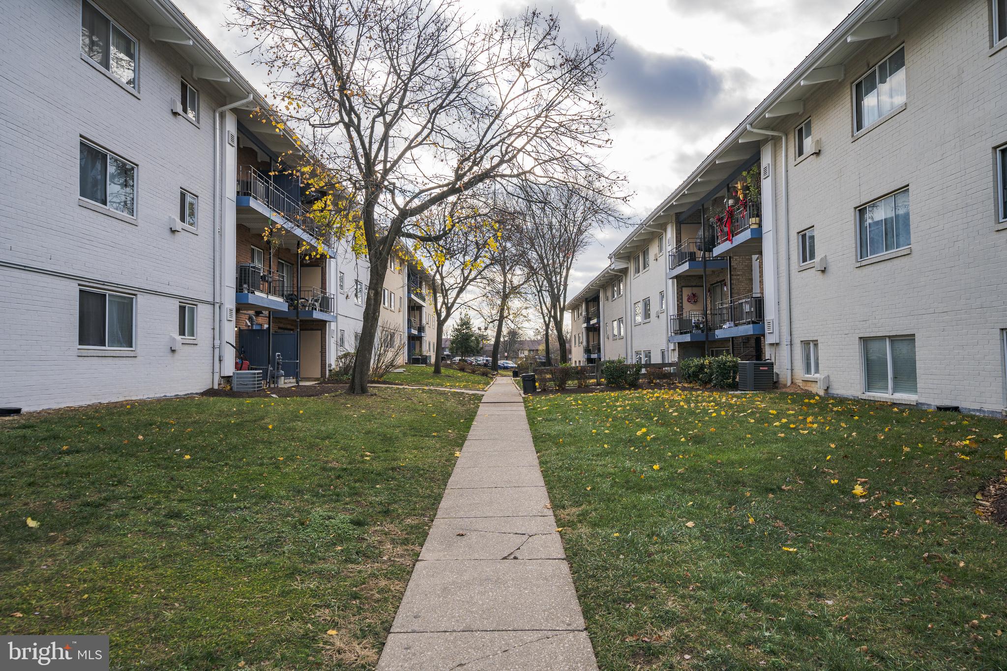 11352 CHERRY HILL ROAD 1Y203