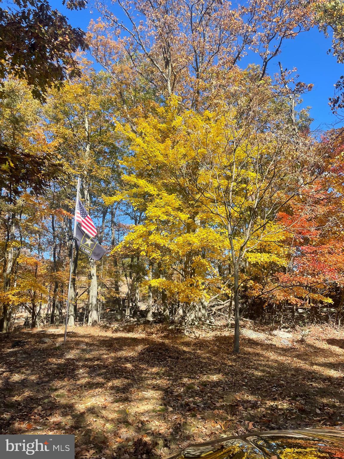 CACAPON HIGHLANDS - Residential