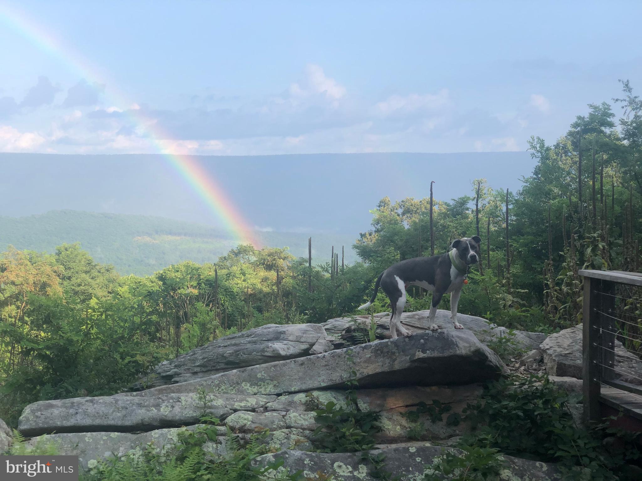 CACAPON HIGHLANDS - Residential