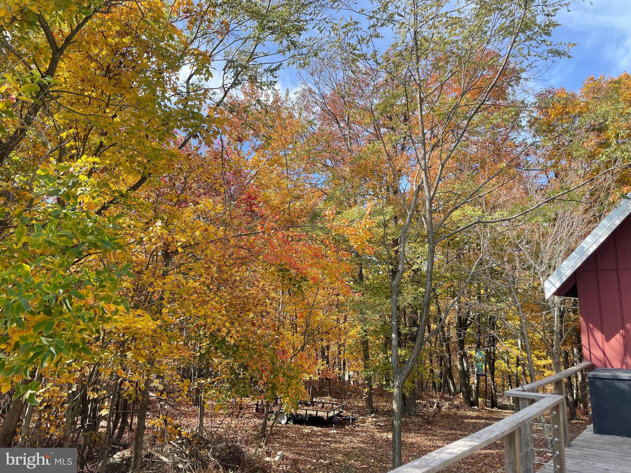 CACAPON HIGHLANDS - Residential