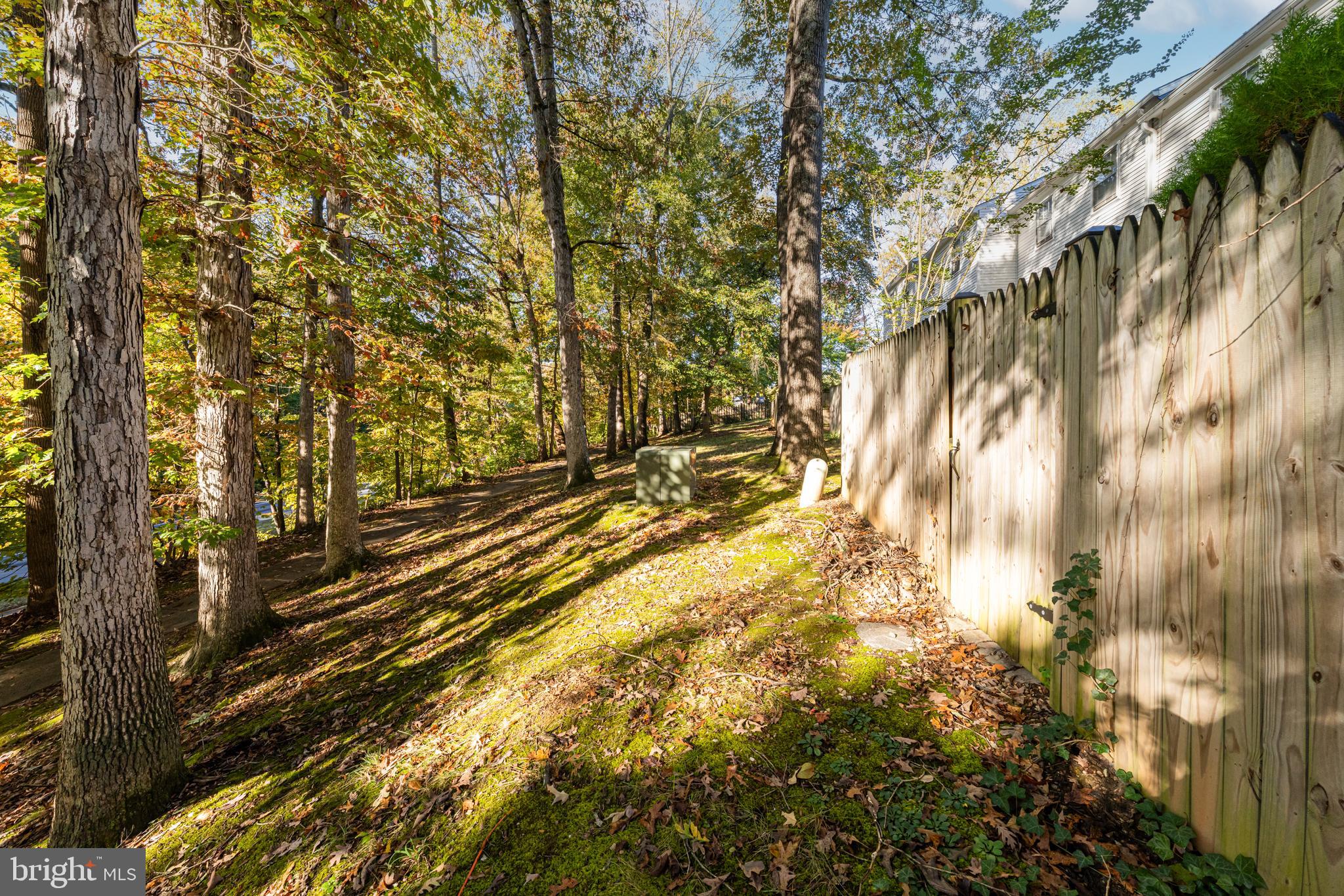 CARDINAL SQUARE - Residential