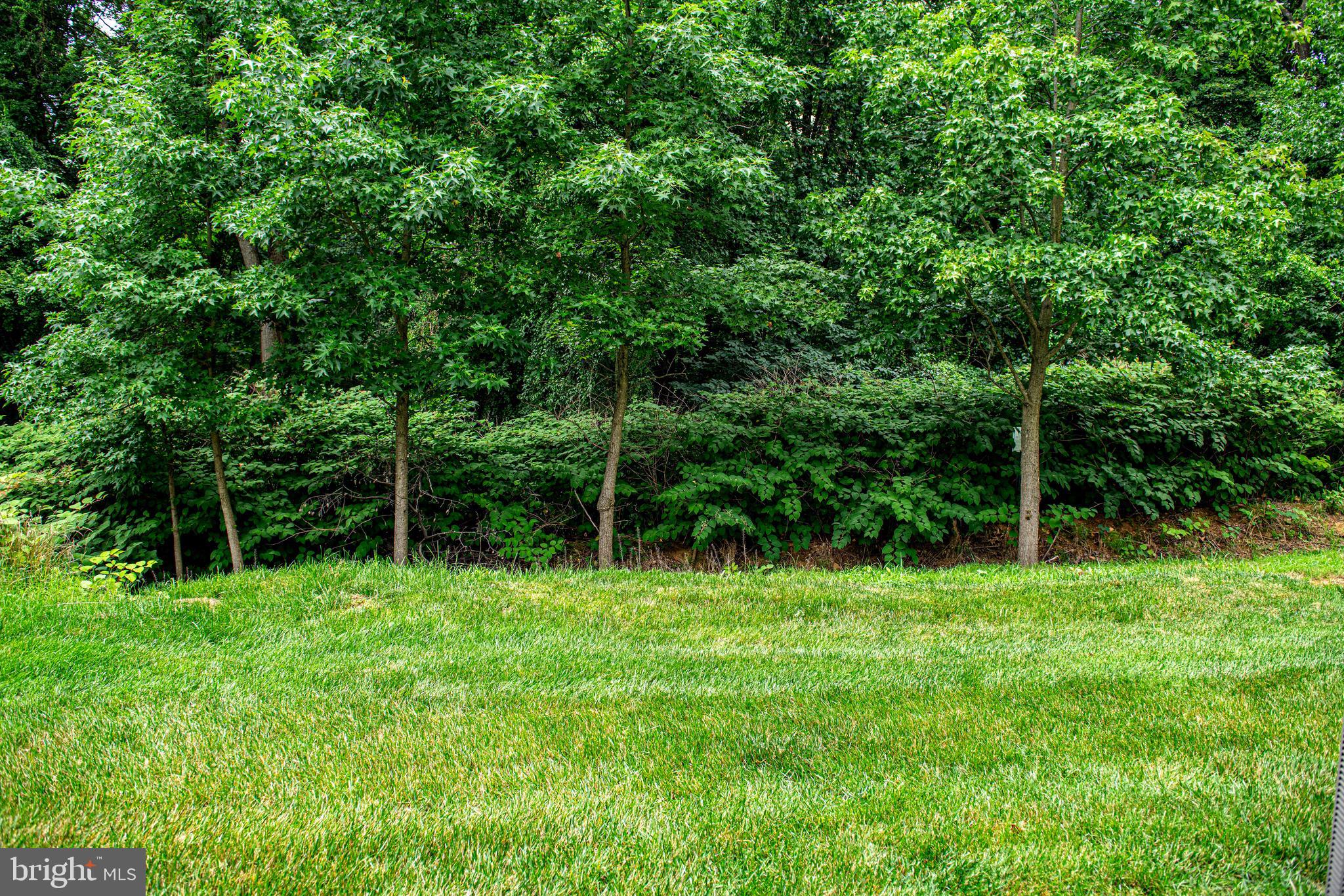 BULLE ROCK - Residential