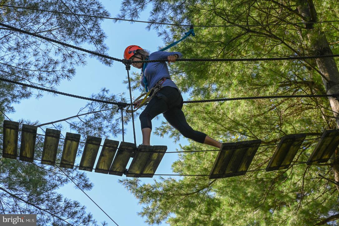 THE PINNACLE - Residential