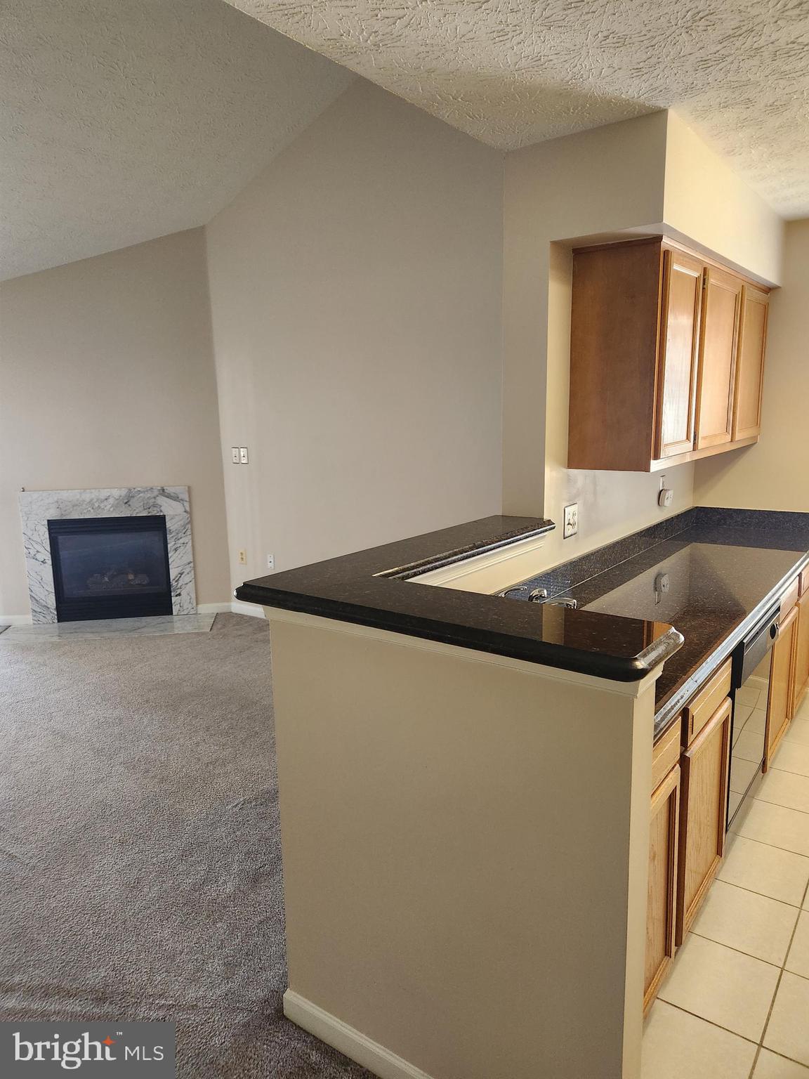 LARGO TOWN CENTER CONDOMINIUMS - Residential