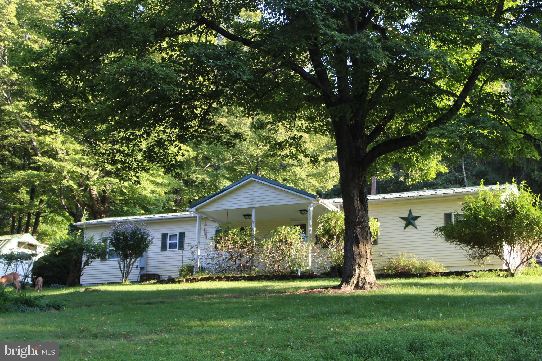 MOVE RIGHT INTO THIS TRALER - THIS PROPERTY HAS 2 BDRMS - 1.5 BATHS - 12X15 LIV RM - EAT IN KIT - PLUS A 12X10 ADD ON FAMILY RM -REFRIGERATOR - STOVE - DISHWASHER - CLOTHES WASHER AND DRYER ALL CONVEY - OUTSIDE IS A NICE COVERED PORCH AND YARD AREA - SALE ALSO INCLUDES 2 OUTDOOR SHEDS FOR A CONVENIENT WORKSHOP AND STORAGE BUILDING - THE LONG DRIVEWAY IS CAPABLE TO HANDLE SEVERAL VEHICLES - GREAT LOCATION - LOCATED OUTSIDE OF FROSTBURG CLOSE TO ECKHART AREA CLOSE TO I-68 - FROSTBURG STATE UNIVERSITY - SCHOOLS AND RESTAURANTS - THE SALE DOES NOT INCLUDE THE LAND