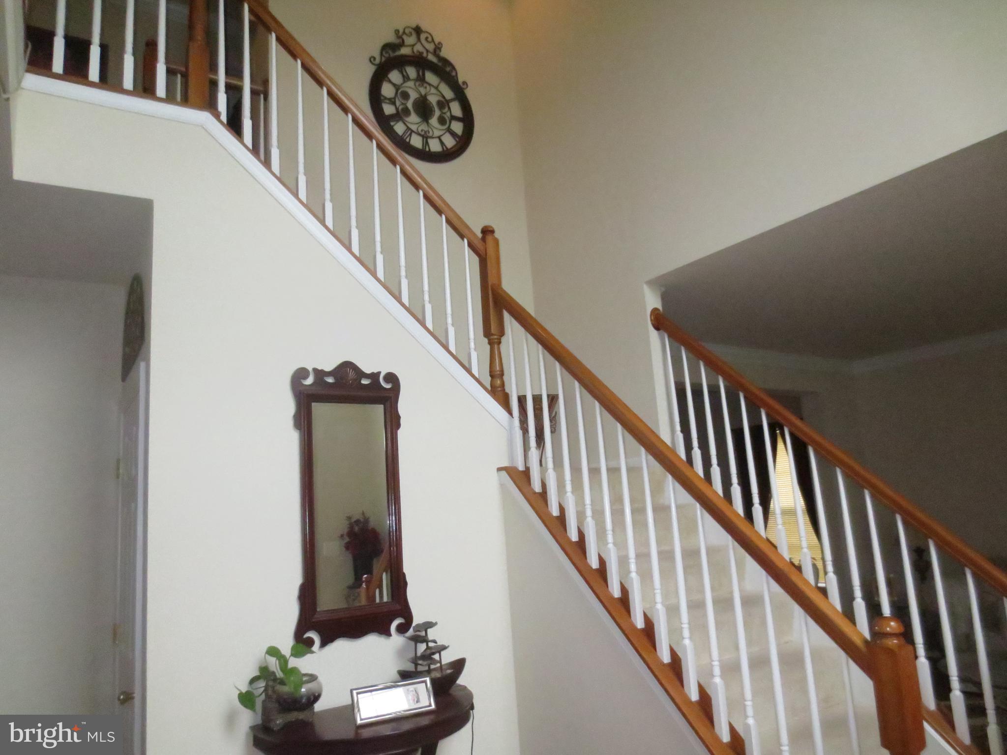 BLUE SPRING FARM - Residential Lease