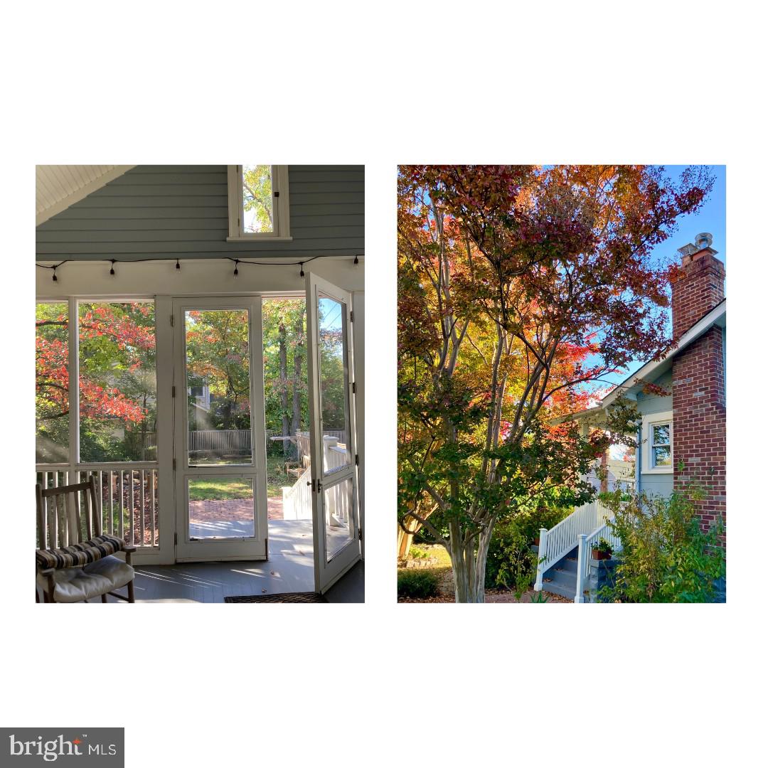 TAKOMA PARK - Residential