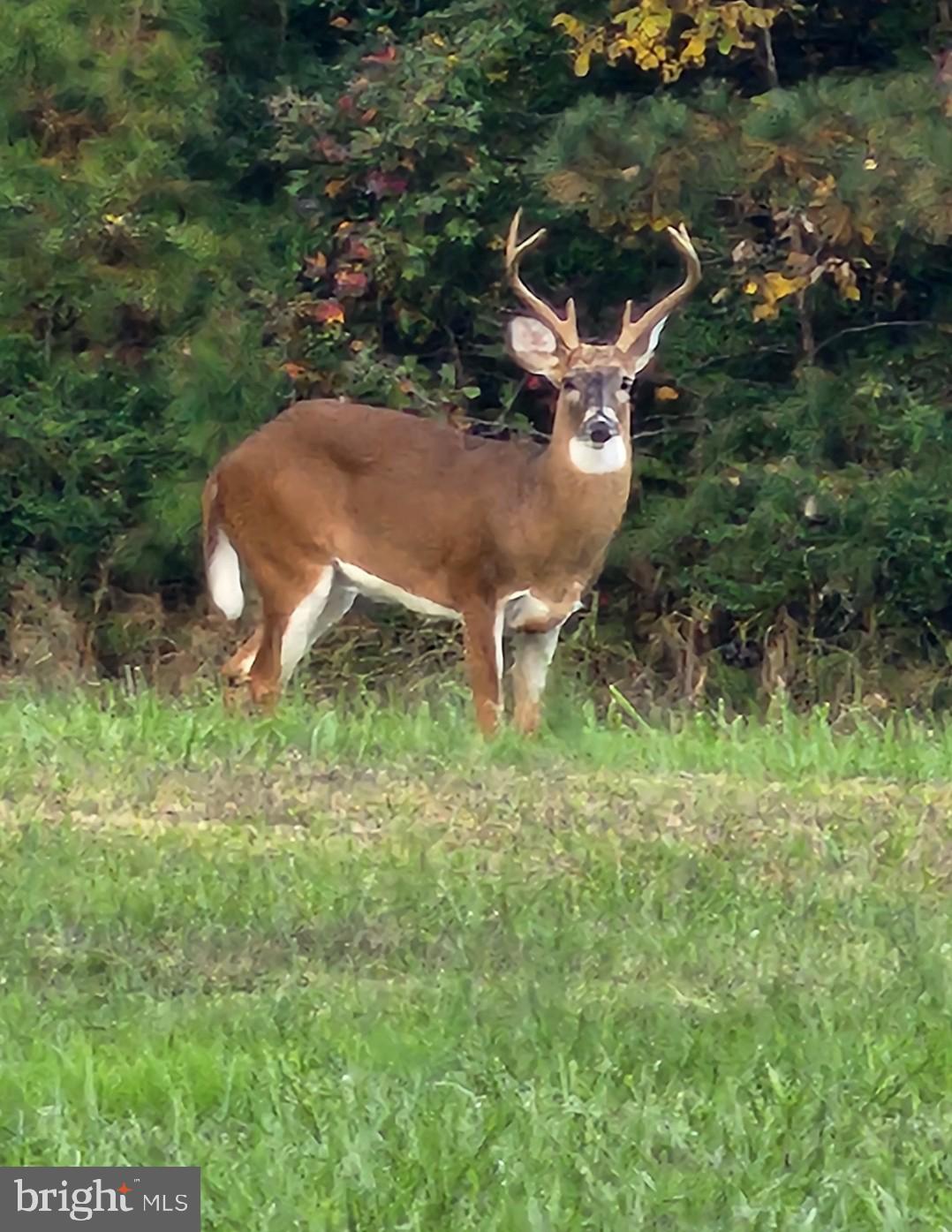 SANDS ON THE POTOMAC - Land