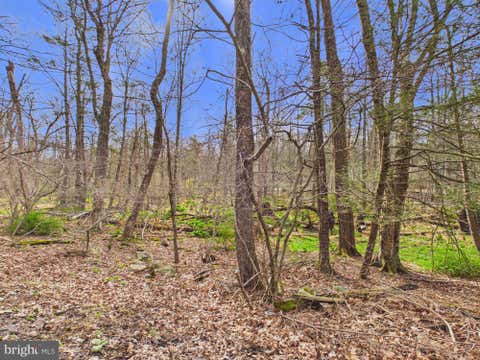 Vacant Land For Sale - 276 Marilou Lane<br/> BARTONSVILLE, PA 18321