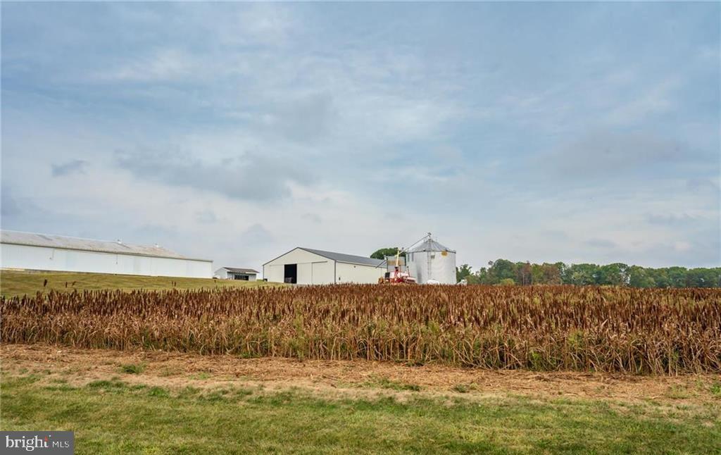 LYNN TWP - Farm