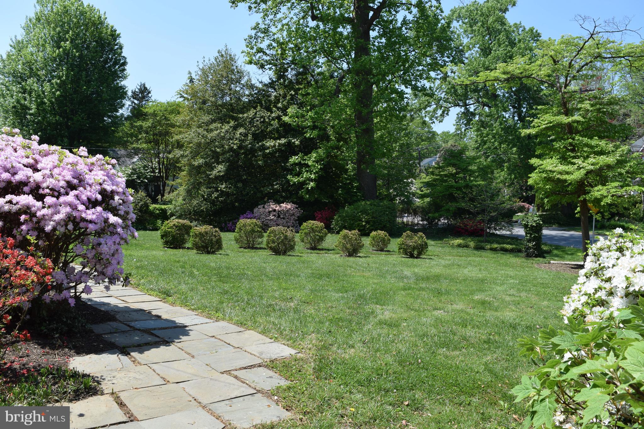 BRADLEY WOODS - Residential