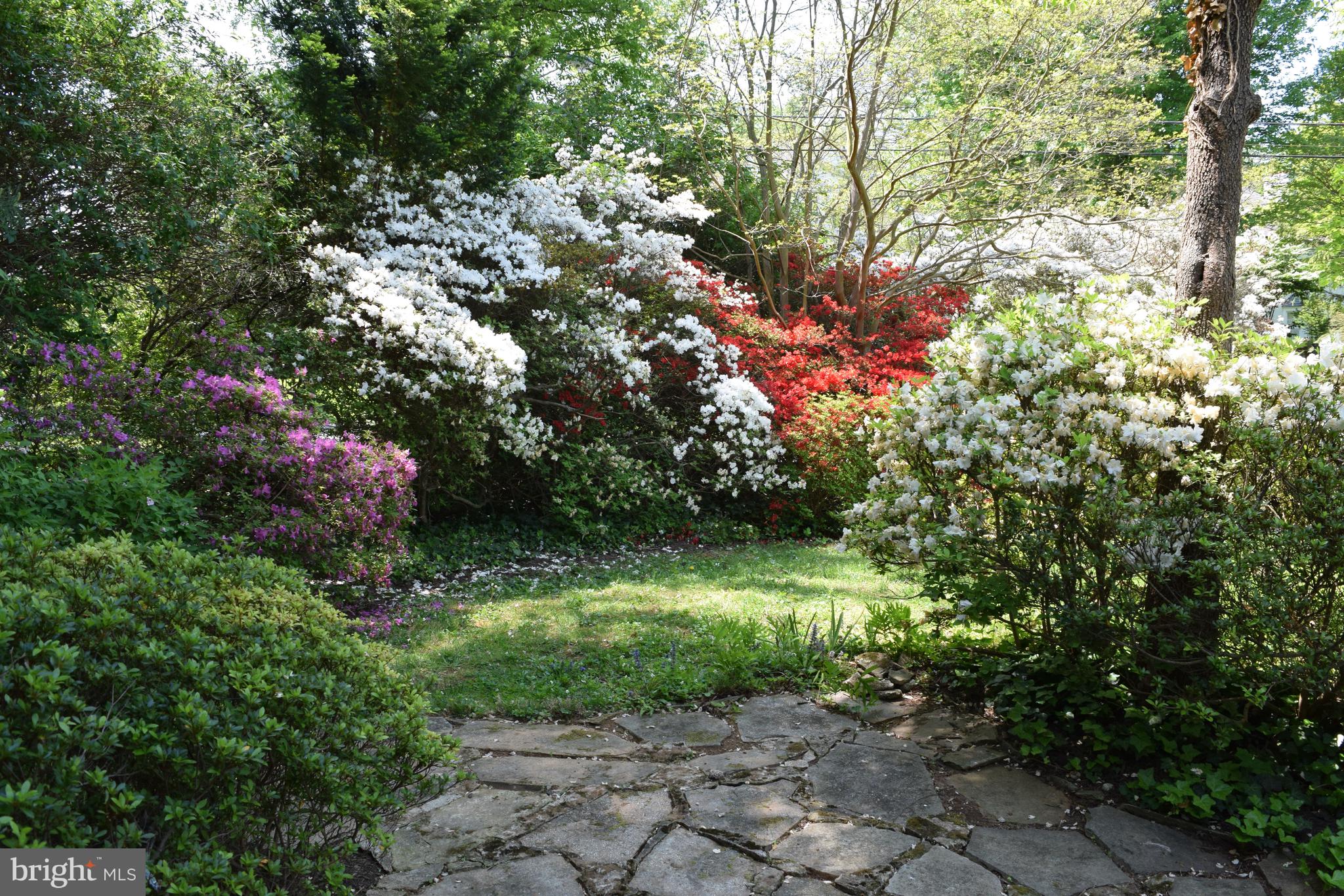 BRADLEY WOODS - Residential