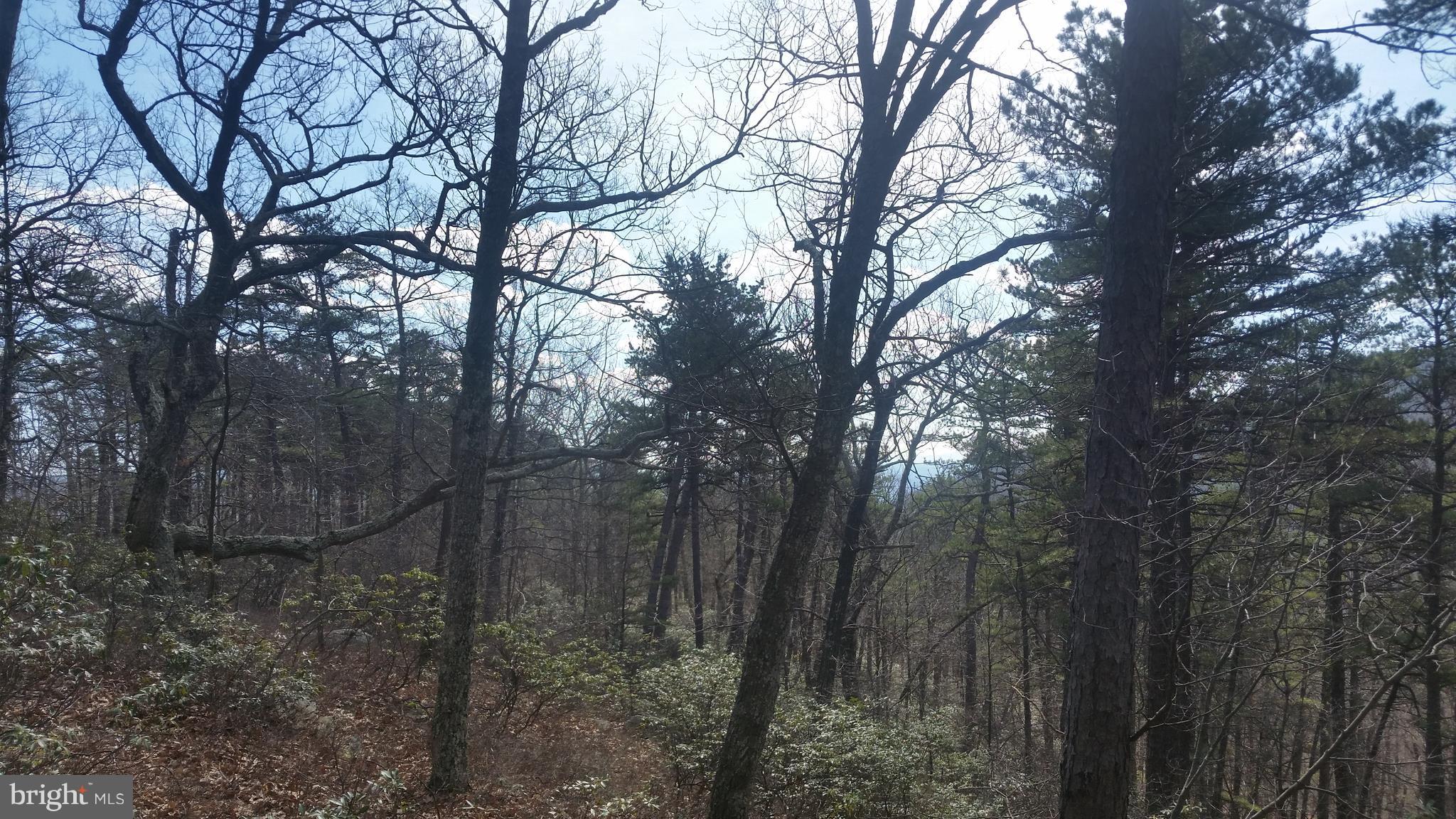 CACAPON HIGHLANDS - Land