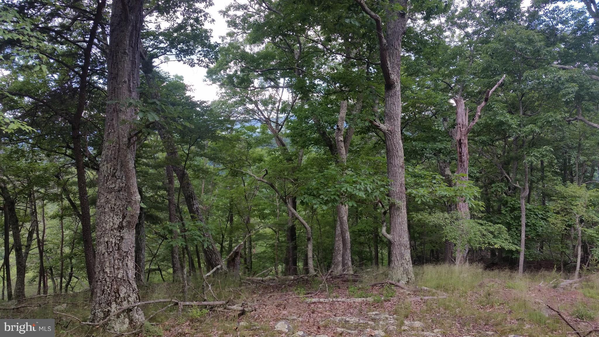 CACAPON HIGHLANDS - Land