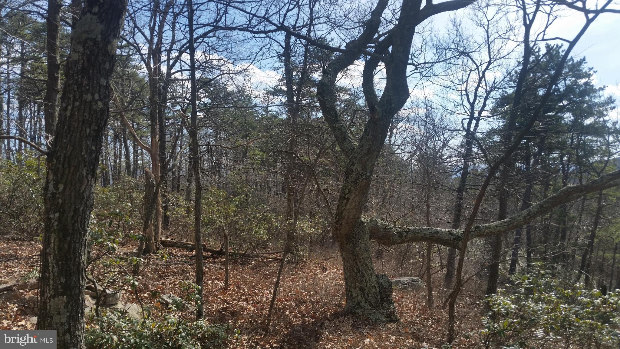 CACAPON HIGHLANDS - Land