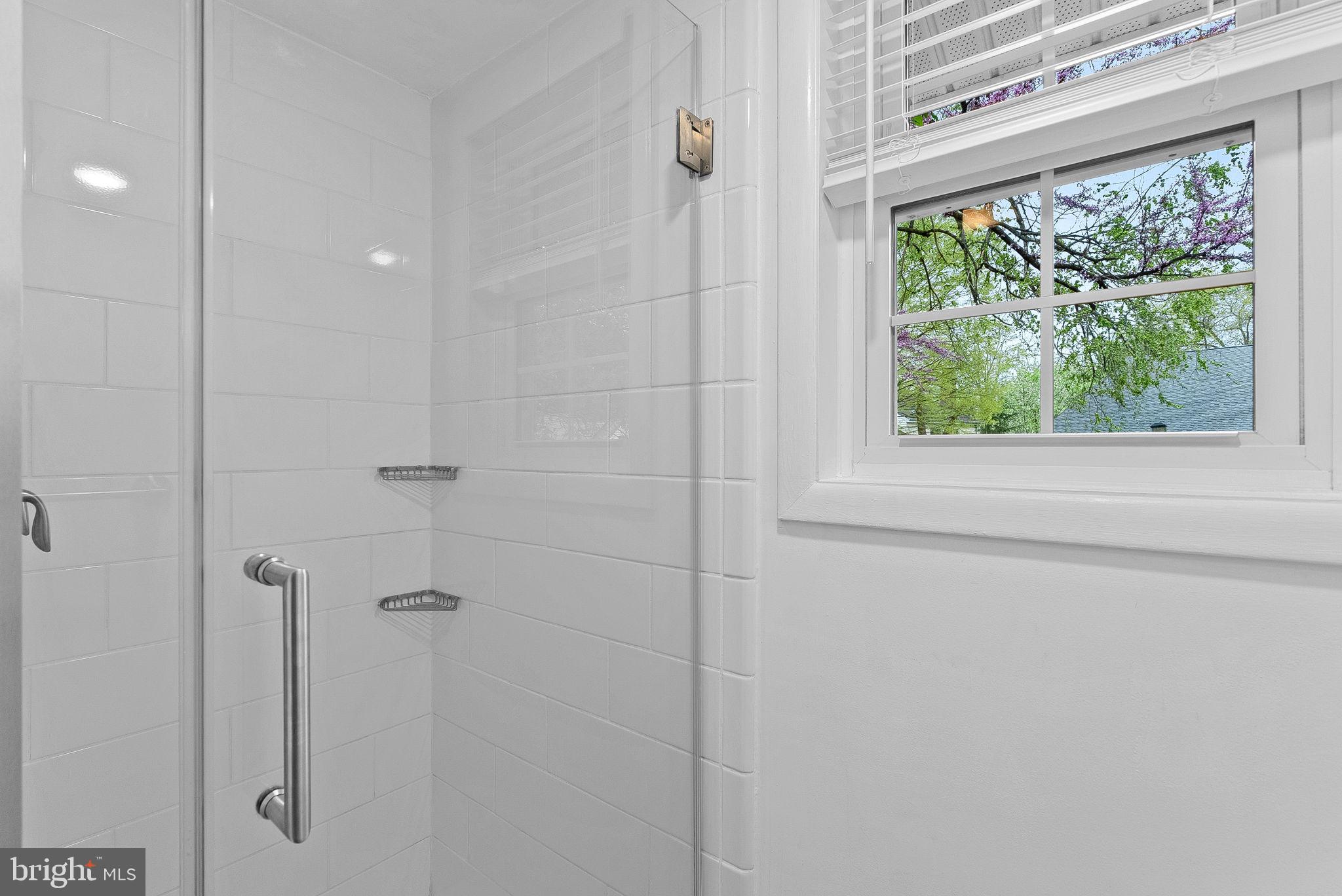 OAK TREE - Residential