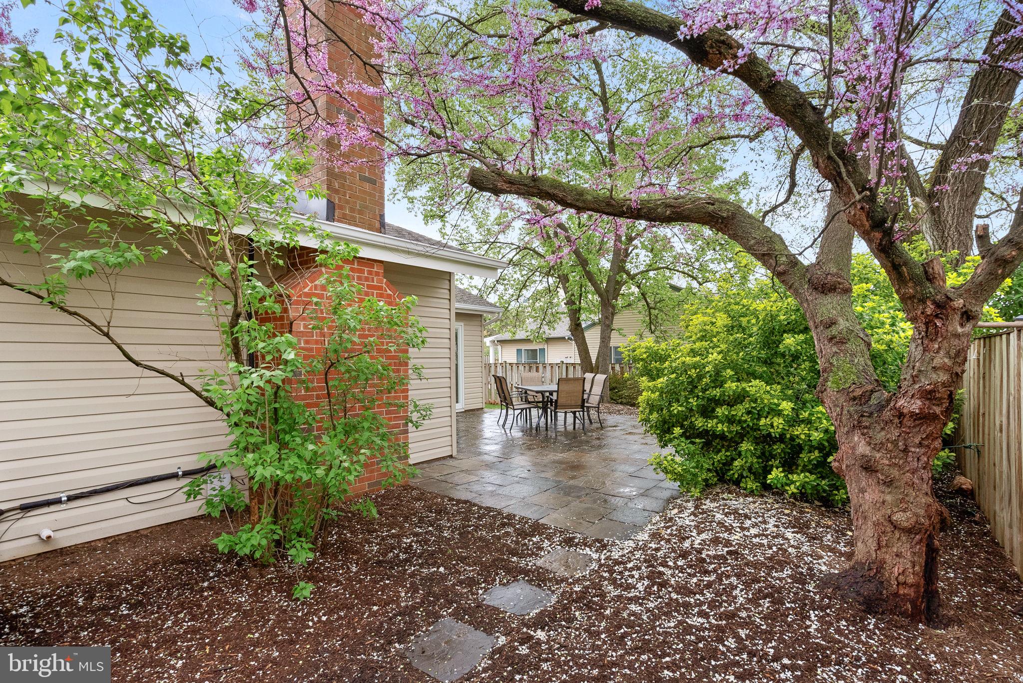 OAK TREE - Residential