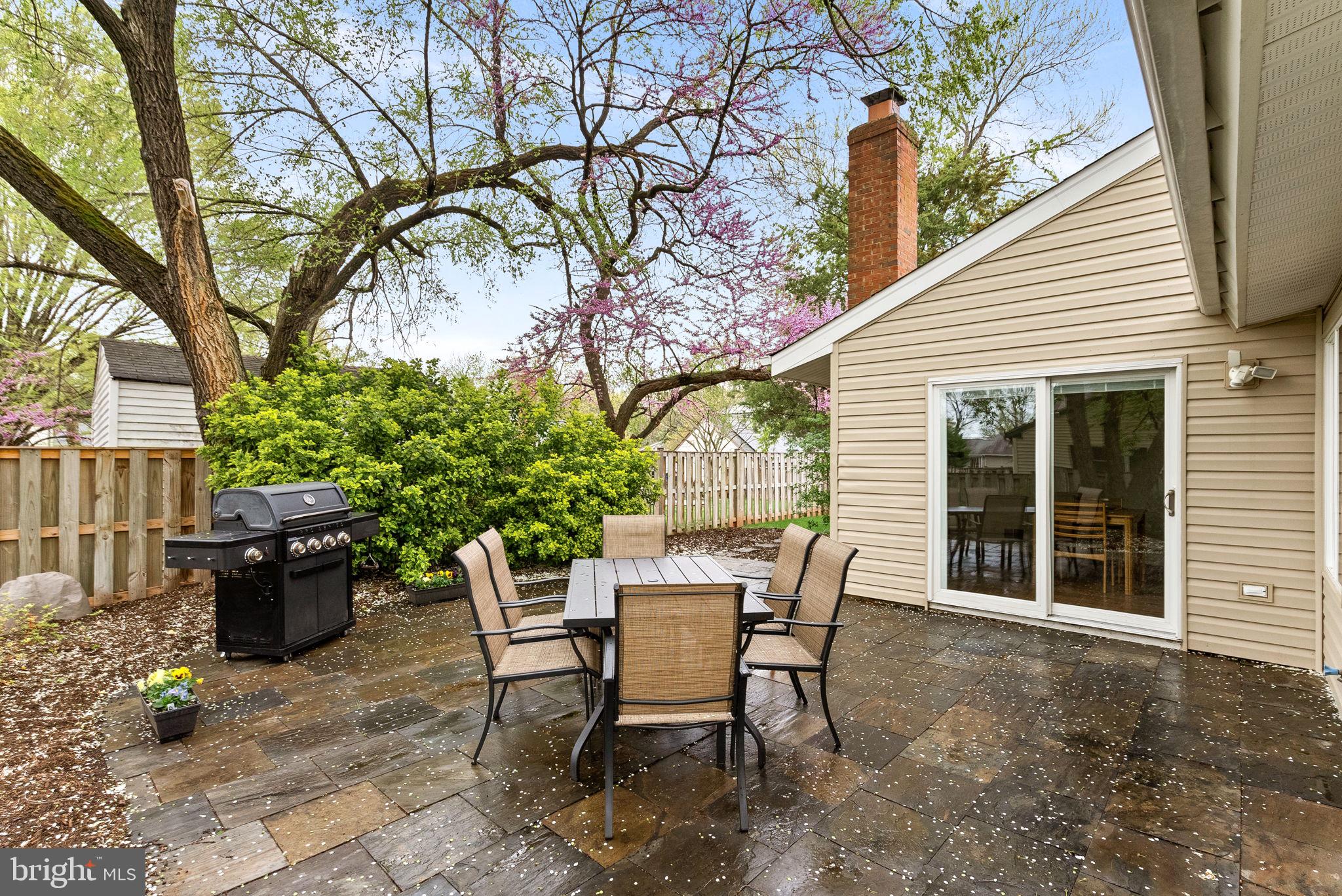 OAK TREE - Residential