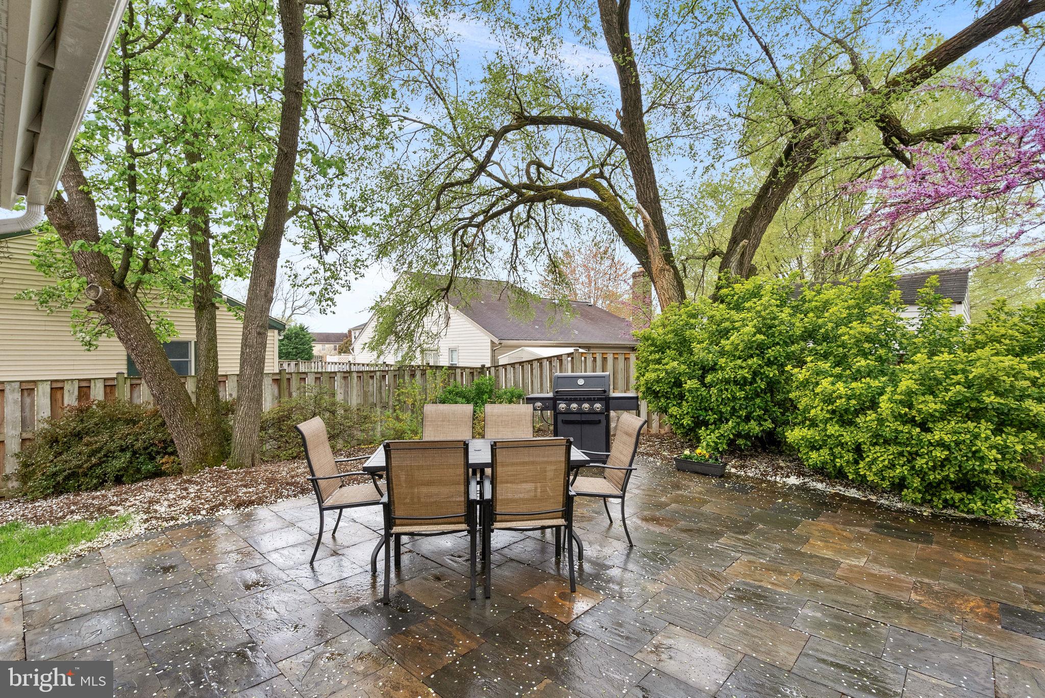 OAK TREE - Residential