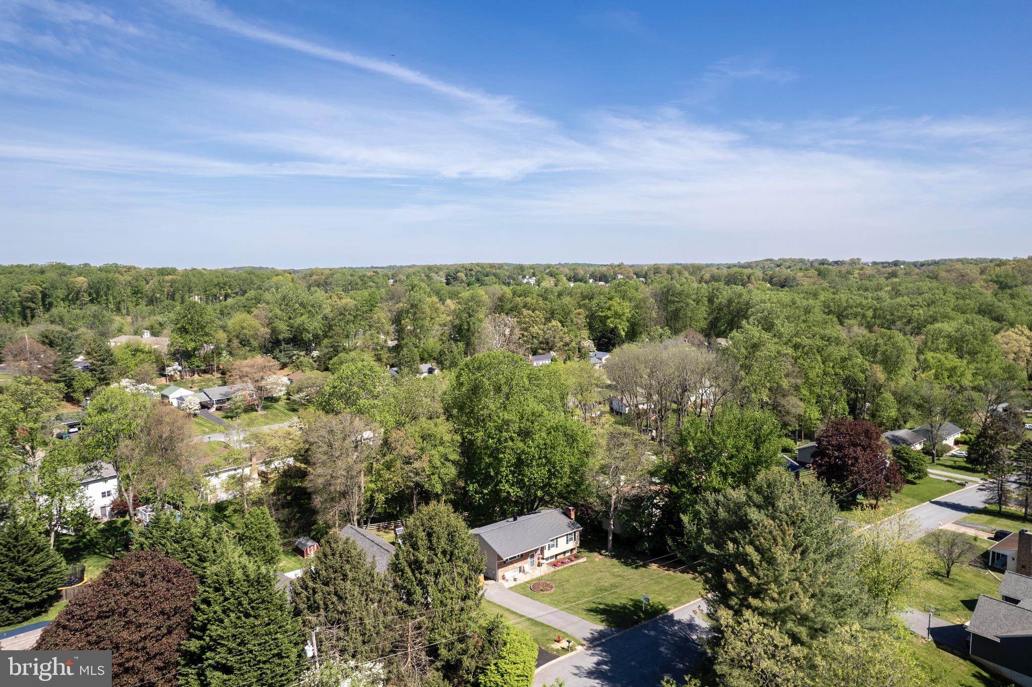 FREEDOM FOREST - Residential