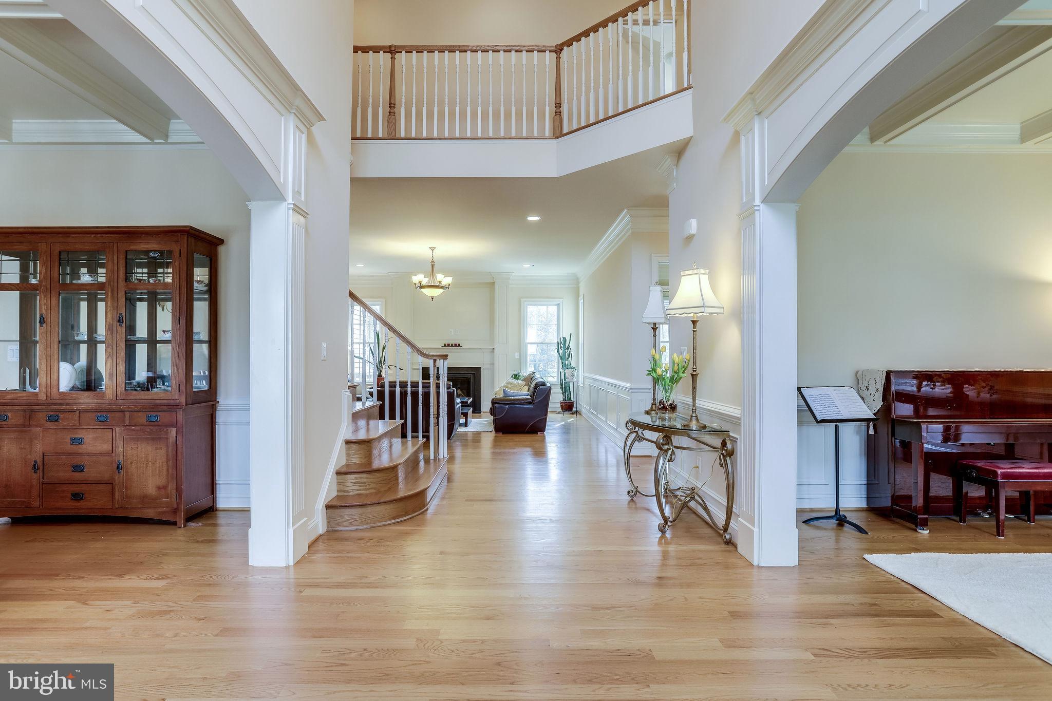 GREAT FOREST - Residential