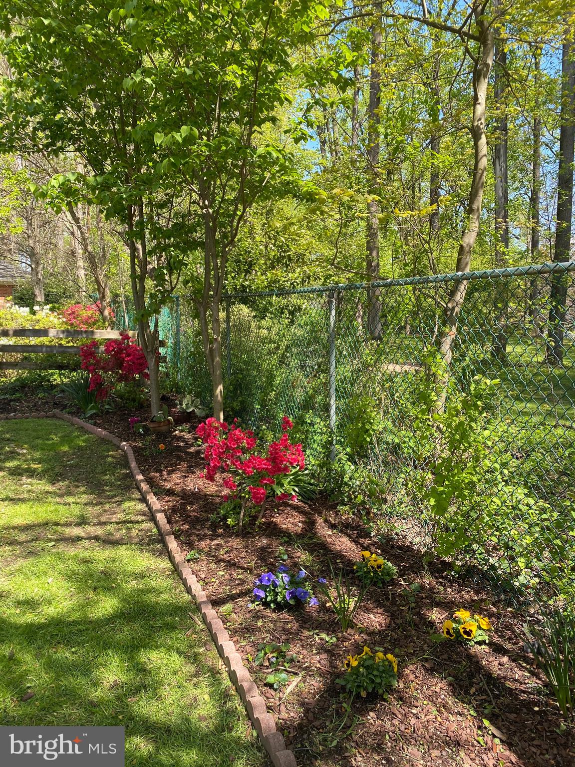 GREAT FOREST - Residential