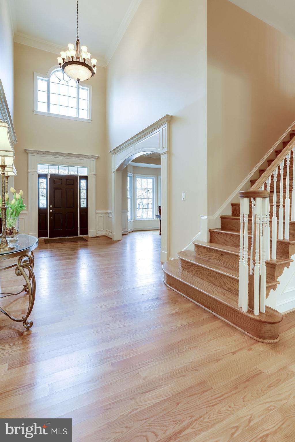 GREAT FOREST - Residential