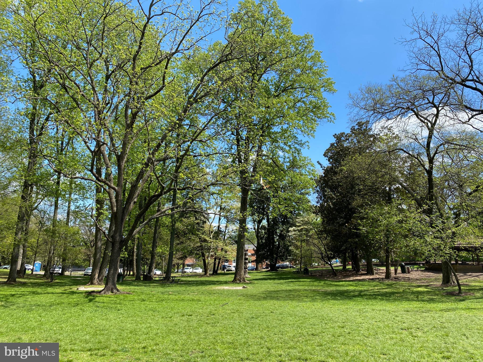 GREAT FOREST - Residential