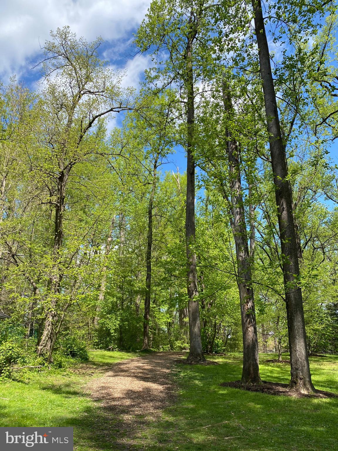 GREAT FOREST - Residential