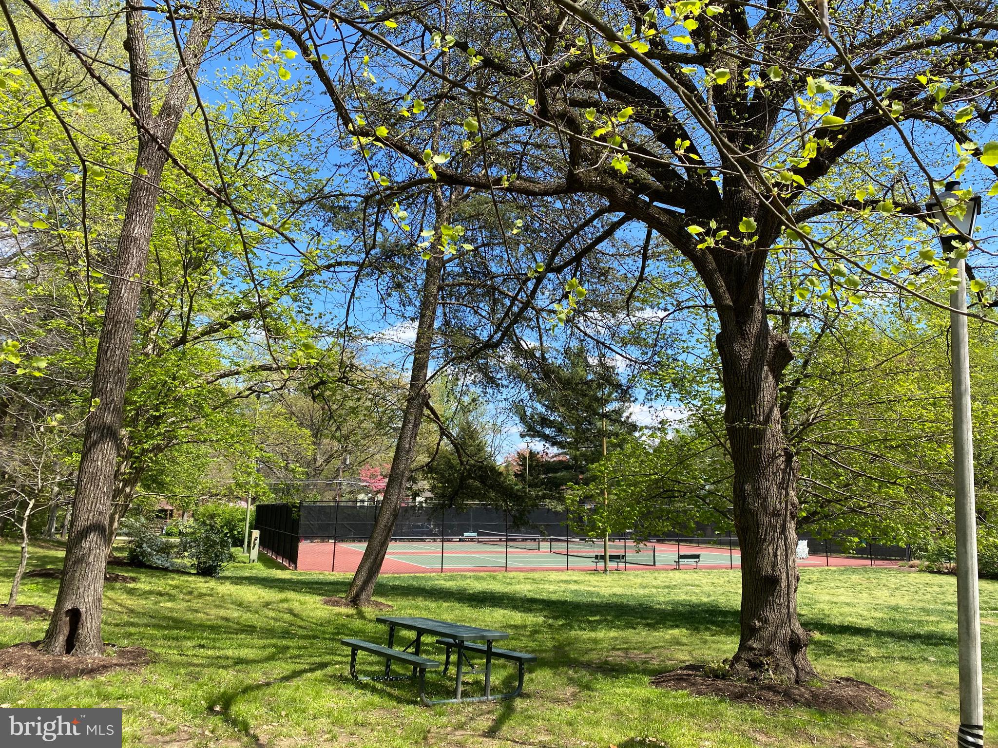 GREAT FOREST - Residential