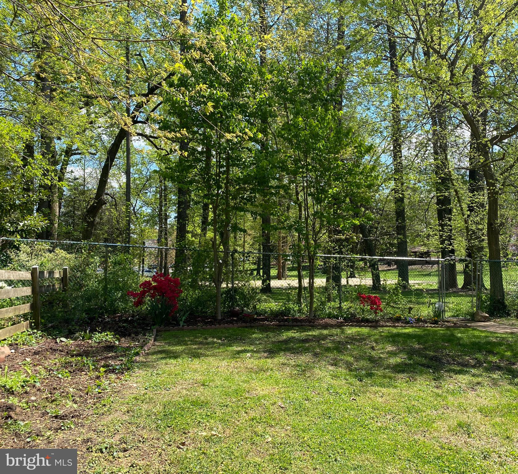 GREAT FOREST - Residential