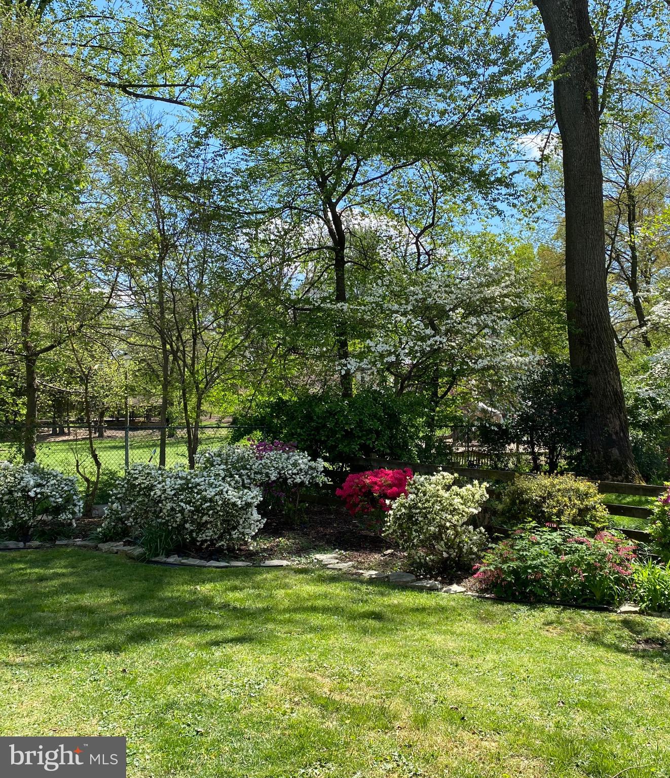 GREAT FOREST - Residential