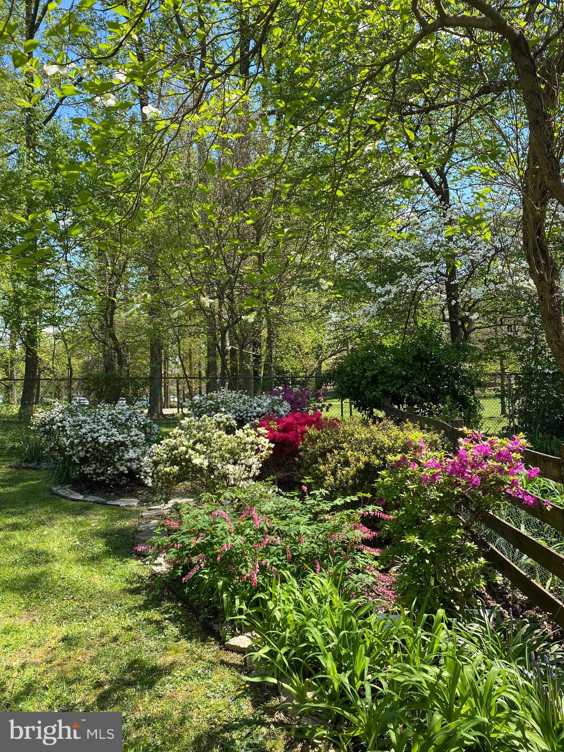 GREAT FOREST - Residential