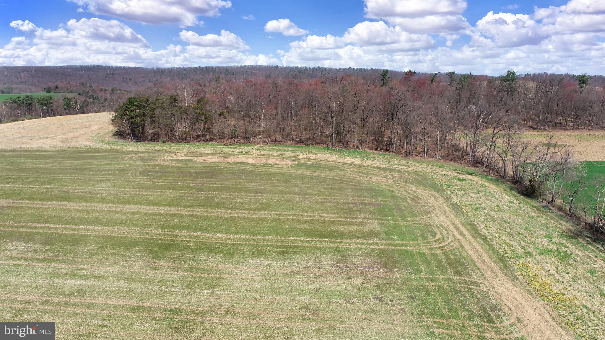 NONE AVAILABLE - Farm