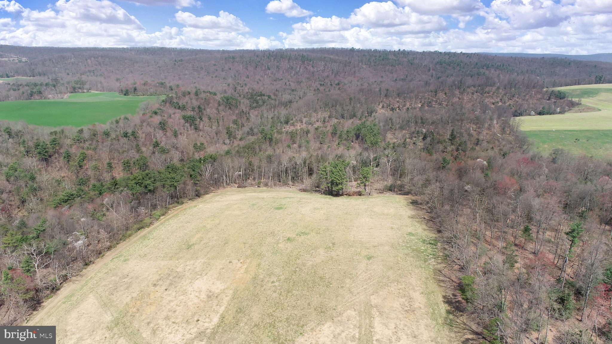 NONE AVAILABLE - Farm