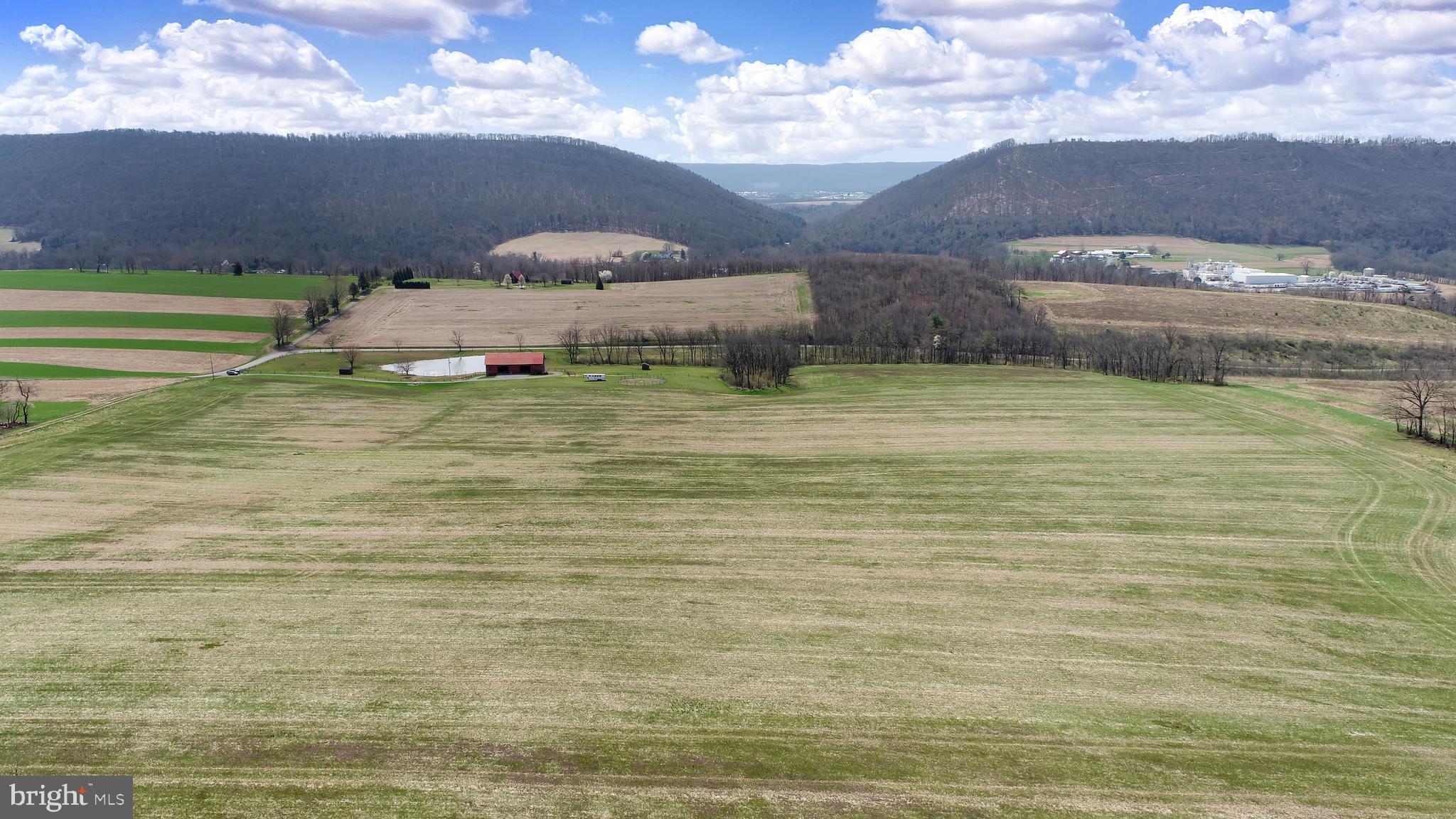 NONE AVAILABLE - Farm