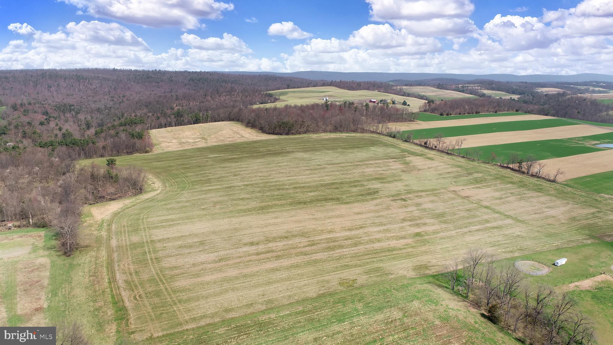 NONE AVAILABLE - Farm