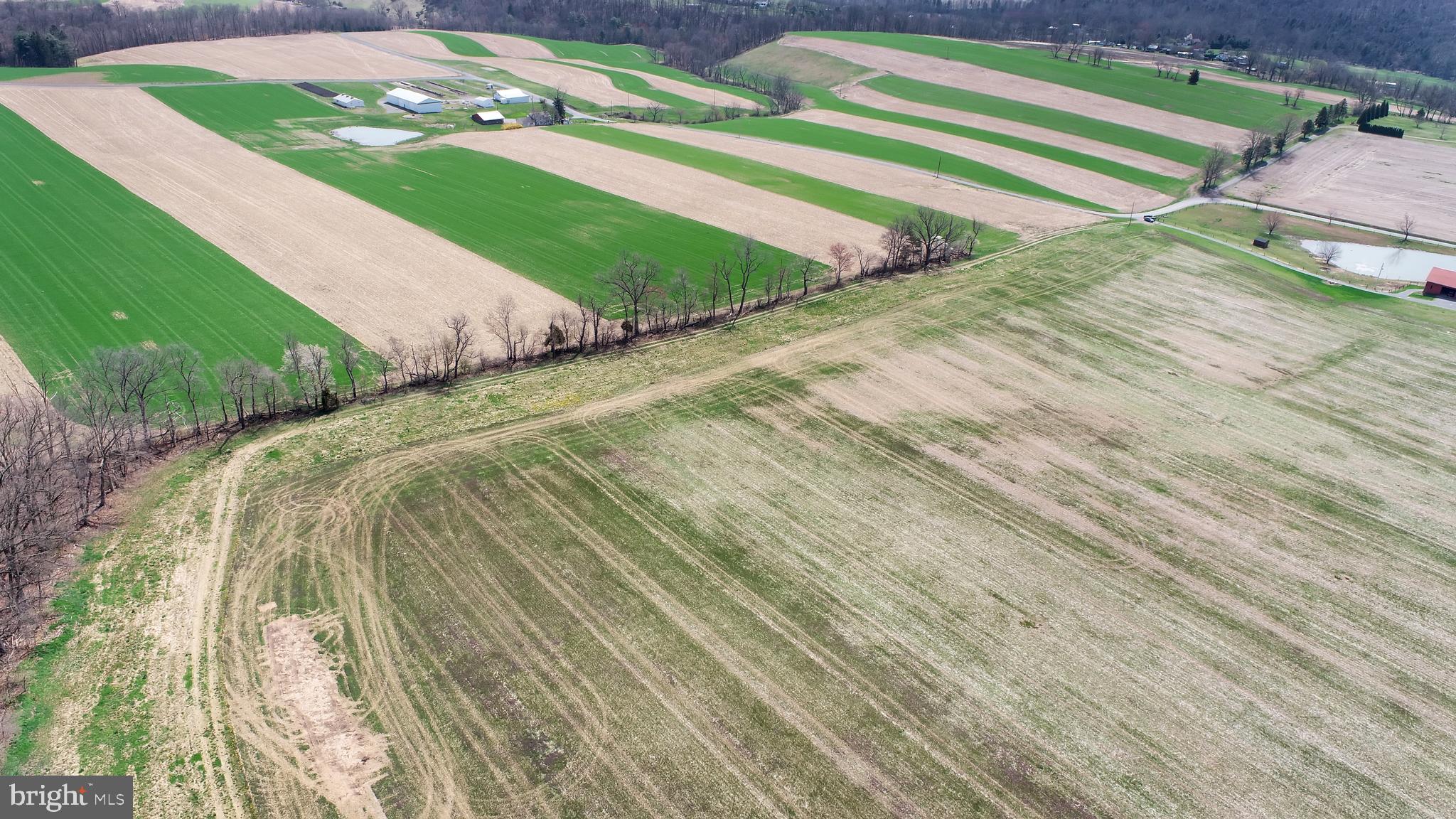 NONE AVAILABLE - Farm