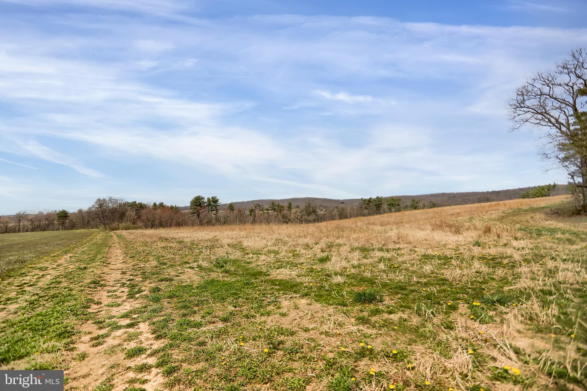 NONE AVAILABLE - Farm