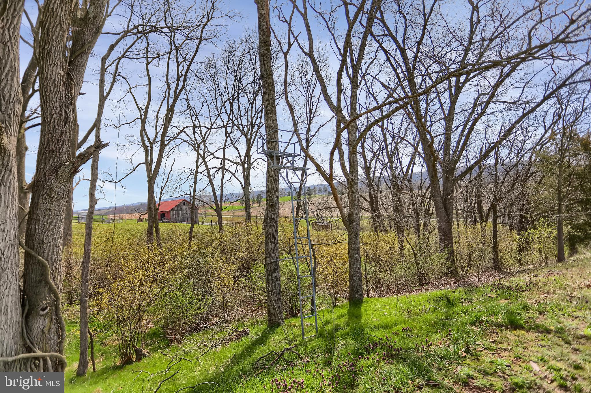 NONE AVAILABLE - Farm