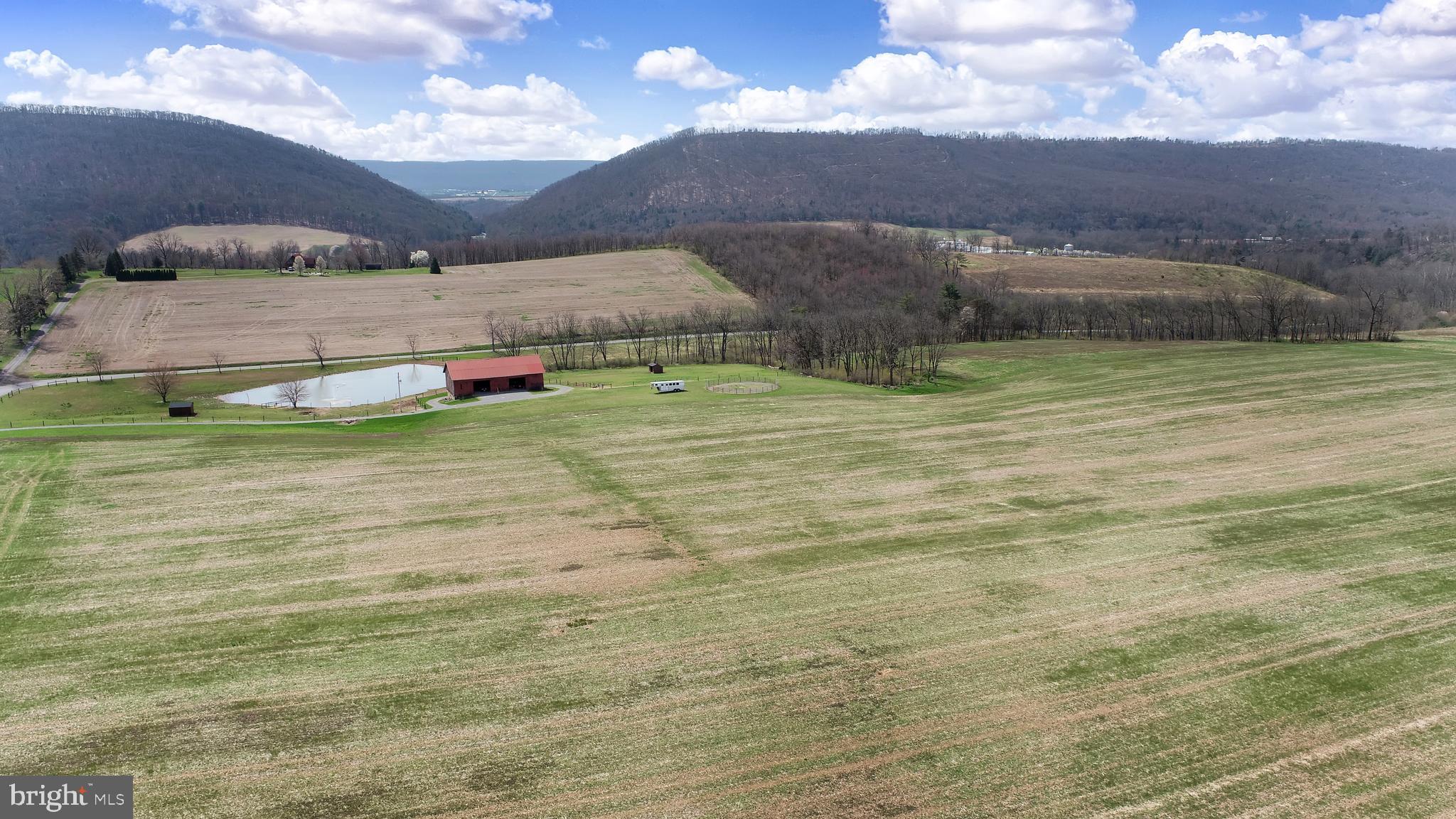 NONE AVAILABLE - Farm