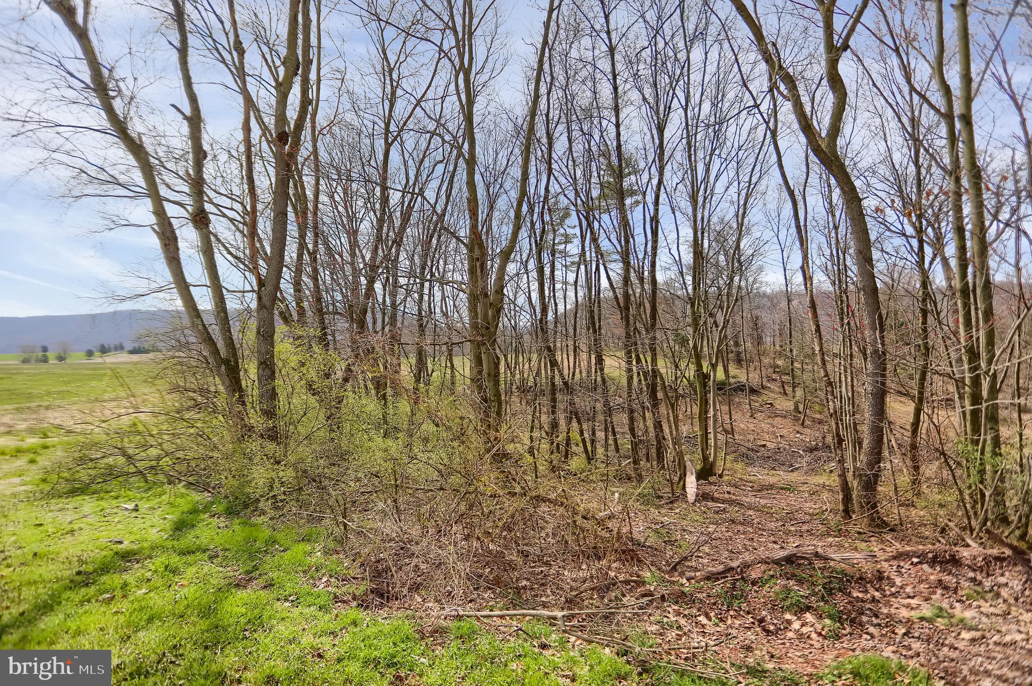 NONE AVAILABLE - Farm